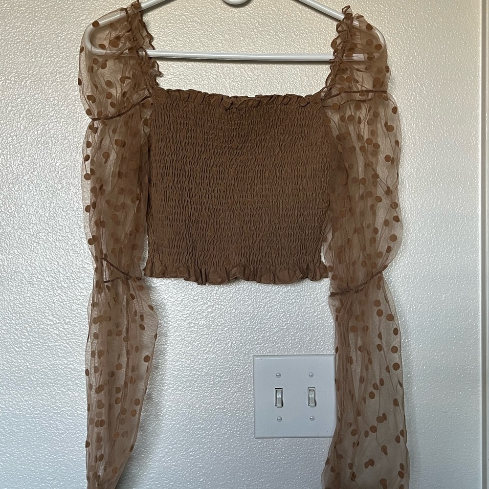 Small Polka Dot Mesh Long Sleeve Top